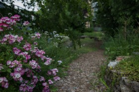 Pause und Erholung_003